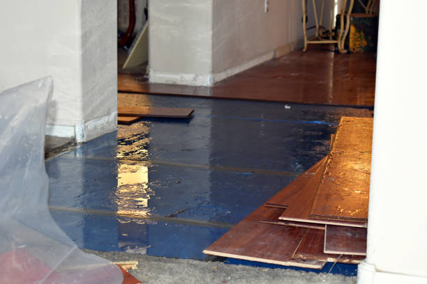 Professional Basement Water Removal technician working in Northville, MI