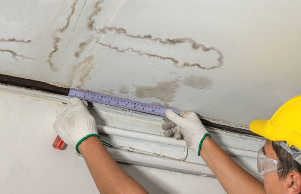 Reliable Basement Water Removal contractor in Northville, MI by Water Damage Irwin